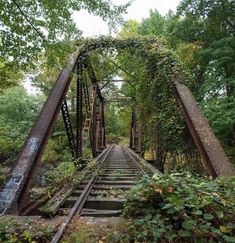 an old train bridge that is going over some water and has vines growing on it