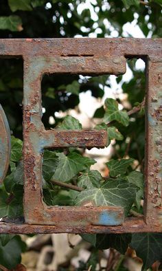 an old rusted metal gate with green leaves