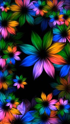 an image of colorful flowers on black background