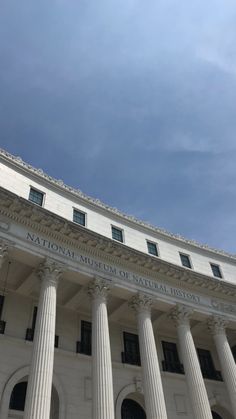 the national museum of natural history in washington, d c on a sunny day with blue skies