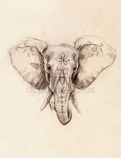 an elephant's head is shown in this drawing