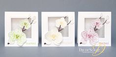 three small white frames with flowers in them