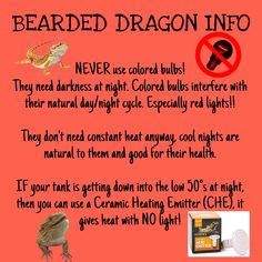 a red poster with an image of a bearded dragon in it's natural habitat