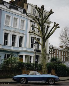 an old blue car parked in front of a tall tree with no leaves on it