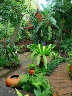 an outdoor garden with lots of plants and trees