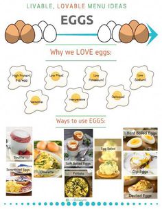 an info sheet with eggs on it and the words, why we love eggs?