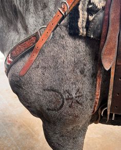 the back end of a horse's head and bridle