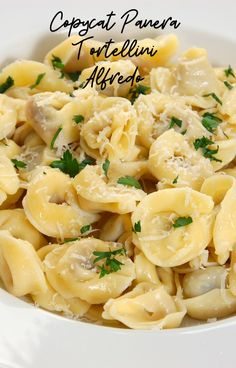 a white bowl filled with pasta covered in cheese