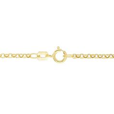 14K Yellow Gold 20" 1.9mm Rolo and Oval Chain No jewelry collection would be complete without a go-to gold chain. Whether worn on its own, layered with others or jazzed up with a pendant, this gleaming chain is the perfect accessory for every occasion. Approx. 20"L Stamped 14K Weight: approx. 1.70 grams Spring-ring clasp Made in Turkey Formal Yellow Gold Oval Pendant Necklace, Elegant 14k Gold Oval Chain Necklace, Elegant Oval 14k Gold Chain Necklace, Yellow Gold Jewelry With Oval Pendant And Cable Chain, Classic Oval Necklace With Delicate Chain, Classic Necklaces With Delicate Oval Chain, Classic Oval Necklaces With Delicate Chain, Dainty Oval Jewelry With Cable Chain, Dainty Oval Cable Chain Jewelry