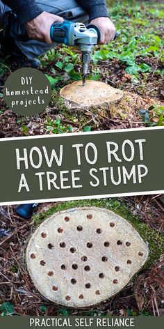 removing a tree stump naturally Tree Root Removal, Tree Stump Killer, Tree Stumps Diy, Removing Tree Stumps, Tree Stump Removal, Homestead Projects, Tree Stump Planter, Pit Bbq