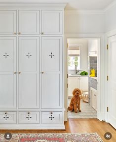 a dog sitting in the middle of a room with white cabinets and rugs on the floor