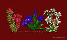 three different types of flowers on a red background