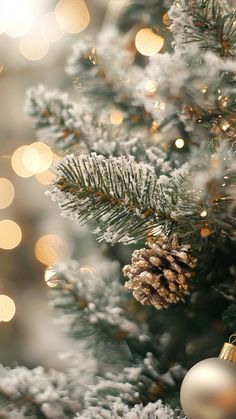 a close up of a christmas tree with lights in the background