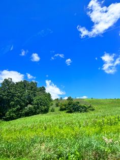 a grassy field with trees and clouds in the background on a sunny day, taken from a moving vehicle