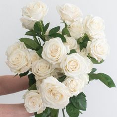 a person holding a bouquet of white roses