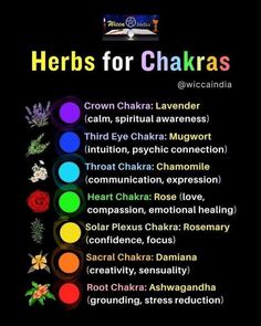 Charka Pics, Chakra Drawing, Dice Divination, Chakras Colors, Chakra Meditation Guided, Chakra Balancing Essential Oils, Circadian Clock, Blocked Chakras