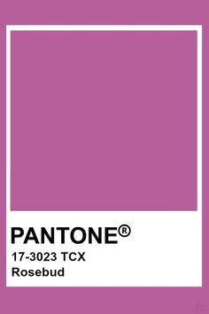 pantone's color is shown in this image