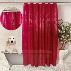 a dog is sitting in a bathtub with a red shower curtain and mirror behind it