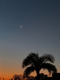 the sun is setting behind a palm tree