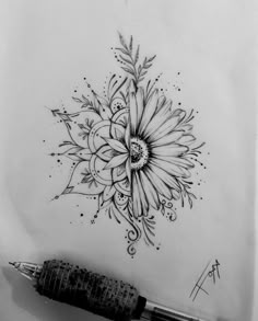 a pencil drawing of a flower on paper