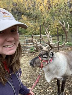 a woman standing next to a reindeer in a pen