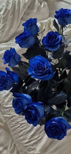 a bouquet of blue roses sitting on top of a bed