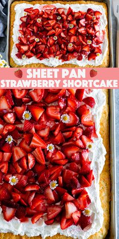 Sheet Pan Strawberry Shortcake Recipe Homemade Shortcake, Dessert For A Crowd, Strawberry Shortcake Recipe, Potluck Desserts, Strawberry Dessert Recipes, Strawberry Shortcake Recipes, Shortcake Recipe, Summer Baking, Sheet Cake Recipes