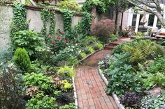 a garden with lots of plants and trees