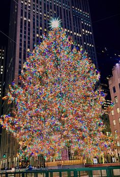 a large christmas tree is lit up in the city