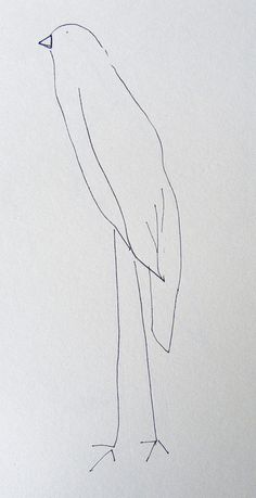 a drawing of a bird sitting on top of a piece of paper