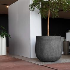 a planter sitting on the side of a building next to a potted tree