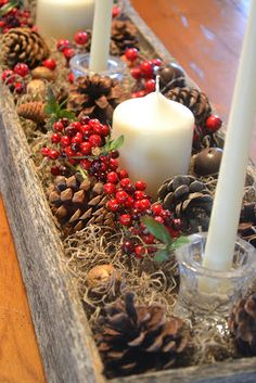 some candles are sitting in a tray with pine cones and berries