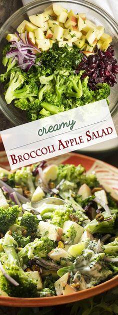 broccoli apple salad with cranberry dressing in a bowl and on the side