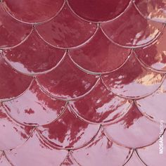 a close up view of a red fish scale pattern