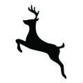 a black and white image of a deer leaping