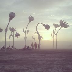 the sun is setting behind some tall flowers and people are sitting on the ground in front of them