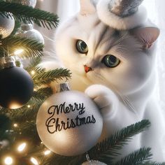 a white cat sitting on top of a christmas tree next to a silver ornament