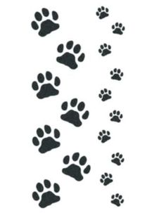 an animal paw prints pattern on a white background