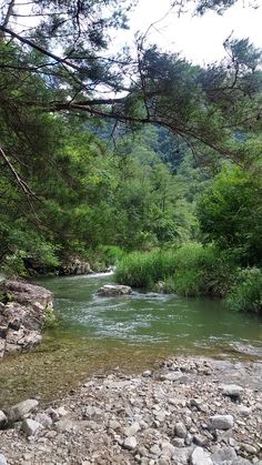 a river running through a forest filled with lots of rocks and green trees in the background