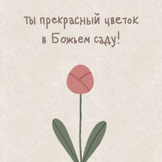 a pink flower with green leaves is in the middle of a card that says, happy birthday