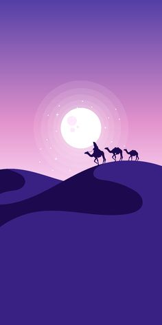 three camels are walking across the desert at night