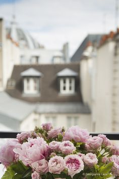 some pink flowers are in a vase on a window sill with buildings in the background