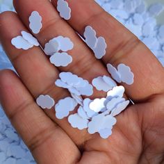 a person is holding some tiny white flowers