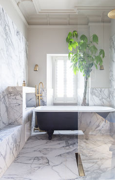 a bathroom with marble walls and flooring has a plant in the bathtub next to it