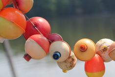 an assortment of fruits and vegetables hanging from a line next to the water's edge