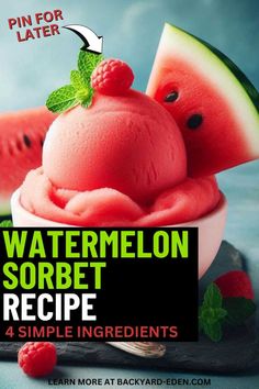 watermelon sorbet recipe for beginners