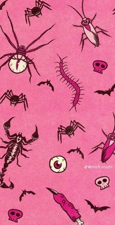 a pink background with many different types of bugs