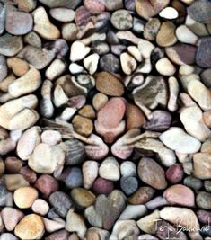 there is a cat made out of rocks