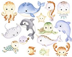 watercolor sea animals are grouped together to form a wall decal or sticker