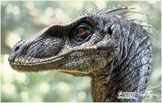 an image of a close up of a dinosaur's head